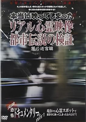 大島てる 調べ方 - 都市伝説と現実の狭間で